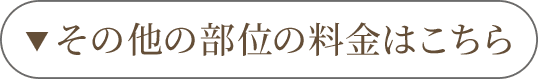 その他の部位の料金はこちら